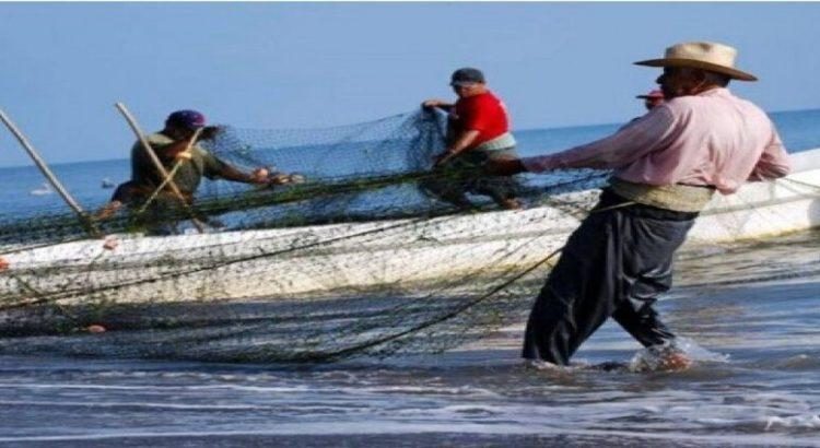 Pescadores de Baja California recibieron como apoyo 7 mil 500 pesos del Bienpesca 2023