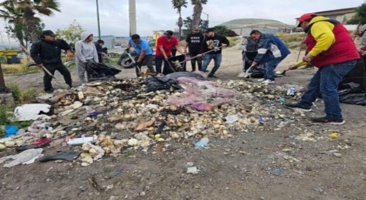 Recolectan 14 toneladas de basura del bulevar Las Torres