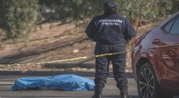 Hombre pierde la vida arrollado en la Vía Rápida Poniente