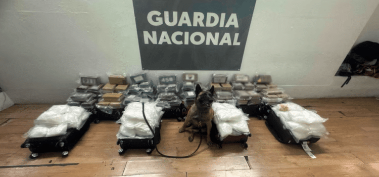 Abandonan cocaína y metanfetamina  en aeropuerto de Tijuana