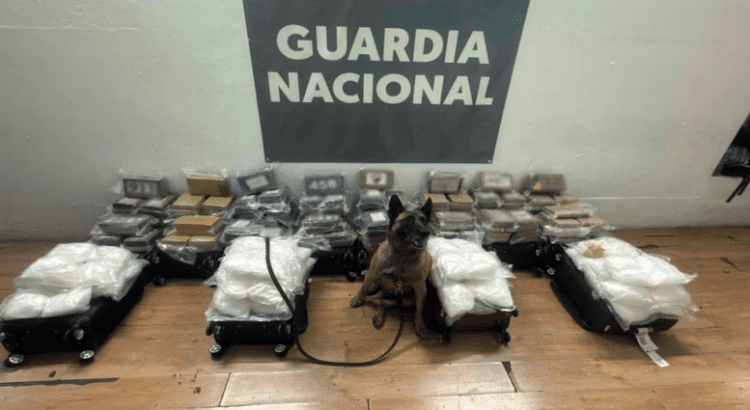 Abandonan cocaína y metanfetamina  en aeropuerto de Tijuana