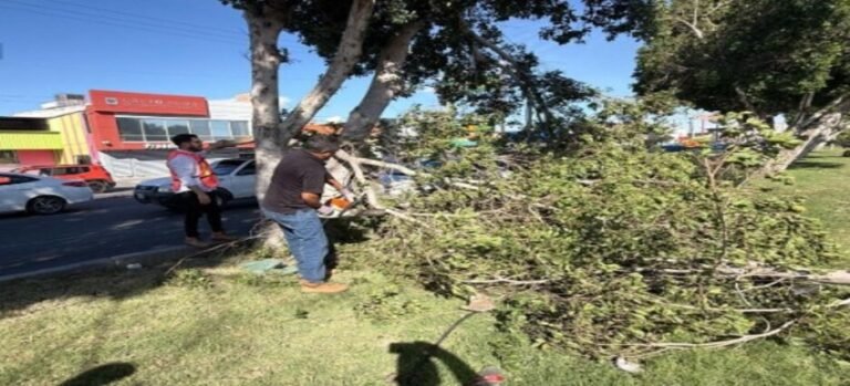 Vientos y polveras provocan daños en Mexicali