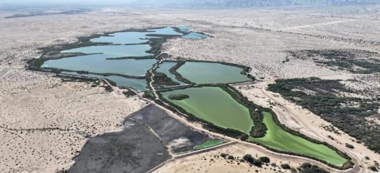 Mexicali reutiliza el 64% de aguas residuales