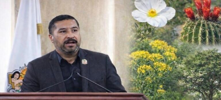 Aprueban reforma legal para reforestar Baja California con plantas nativas