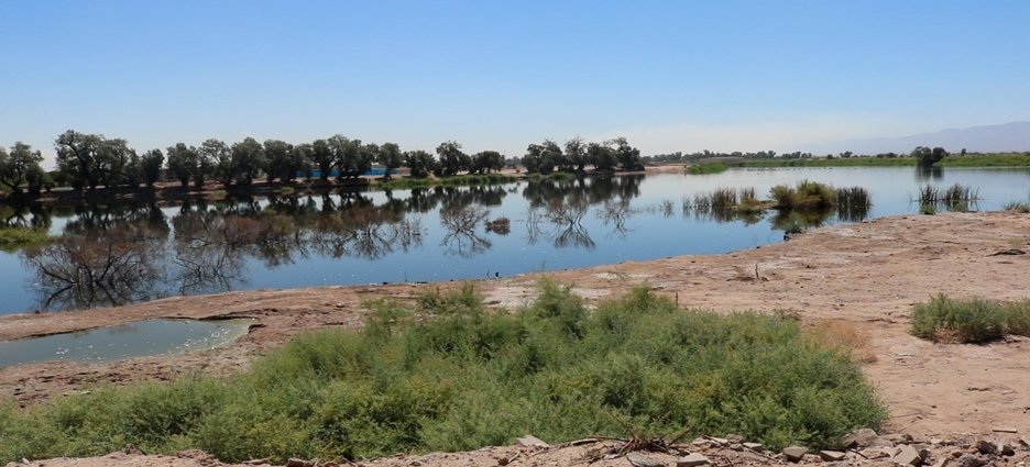 Avanza protección del sistema lagunar de Mexicali; buscan declararlo área natural protegida